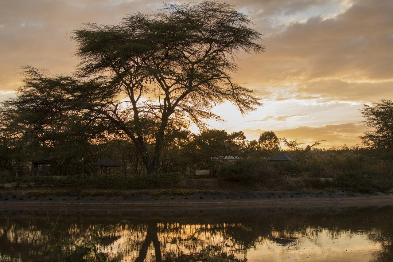 Ziwa Bush Lodge Nakuru Exteriör bild